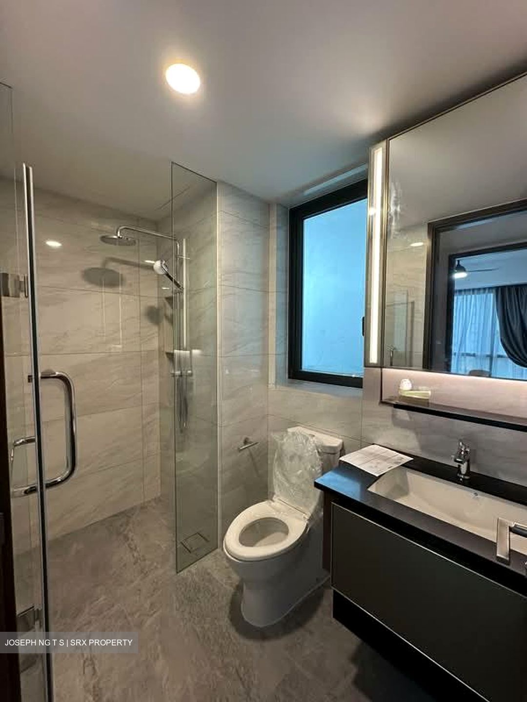 Normanton Park (D5), Apartment #590342231